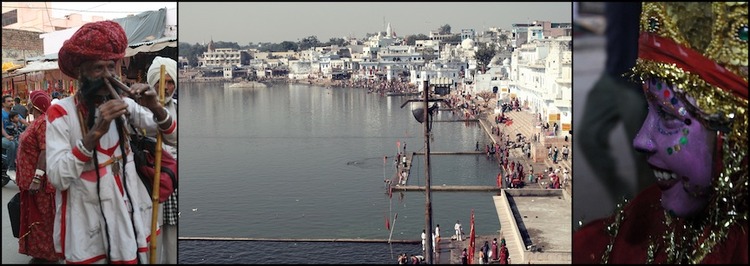 pushkar6