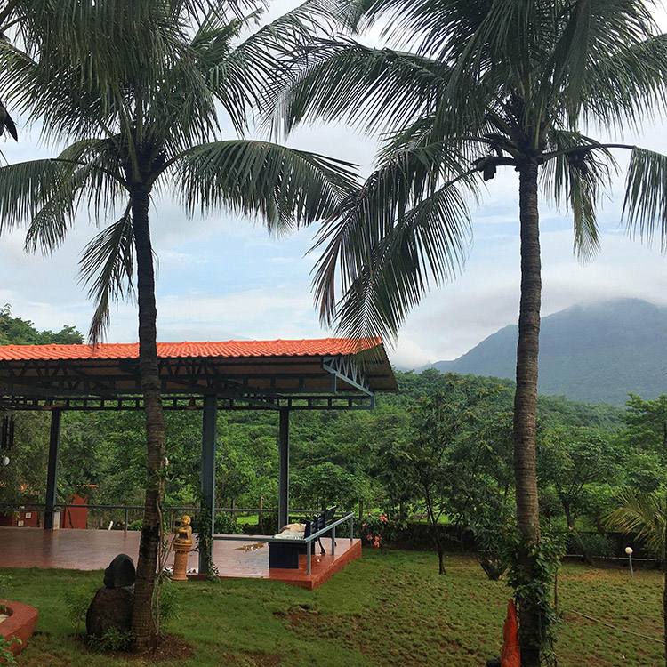 020816_TangerineYogaRetreat3