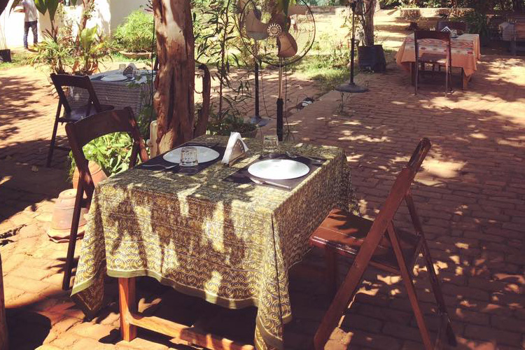 Pet Friendly Cafes In Chennai LBB, Chennai