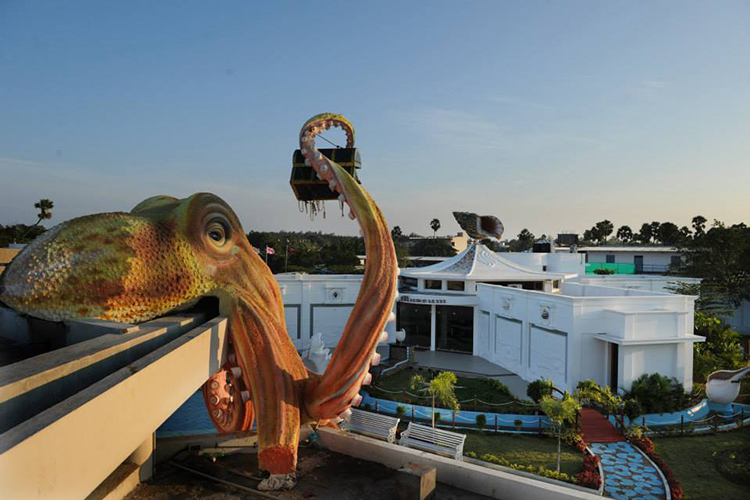 India Sea Shell Museum In Mahabalipuram | LBB, Chennai