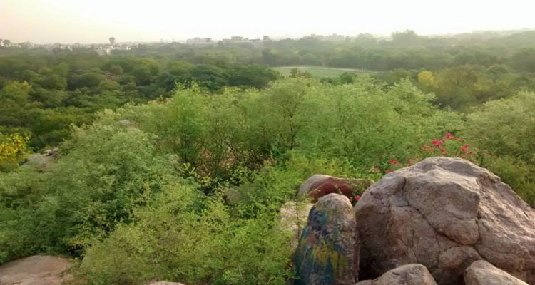 Parthasarthy rocks_jnu