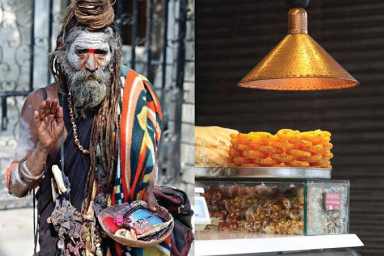 Image courtesy - Darter Photography