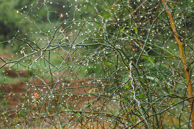 Photo source: Conservation Education Centre
