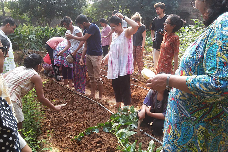 Photo source: Edible Roots