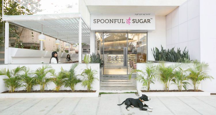 Pet Friendly Restaurants In Bangalore | LBB, Bangalore