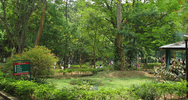 spend couple time at bannerghatta national park