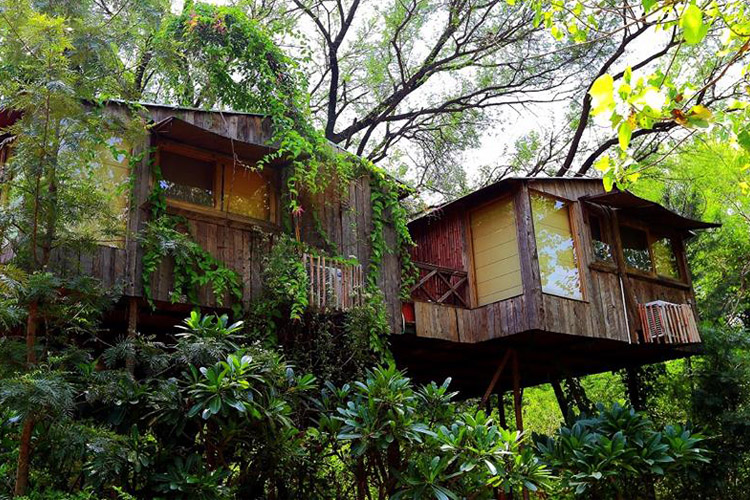 Tree House Resorts In India LBB, Bangalore