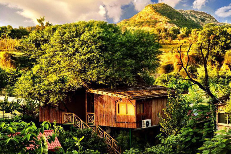 Tree House Resorts In India LBB, Bangalore