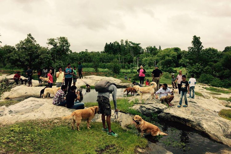Photo source: Dog Park at The Elephant Pond