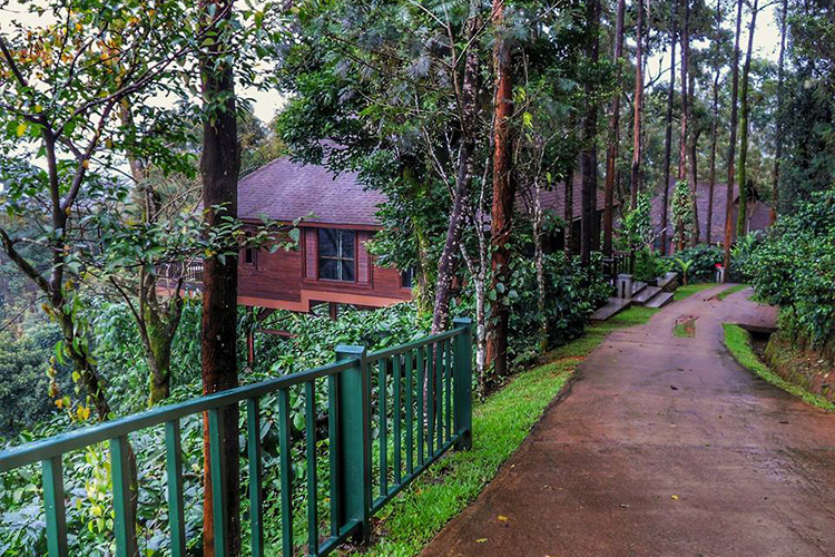 Coffee Plantation Tours LBB, Bangalore