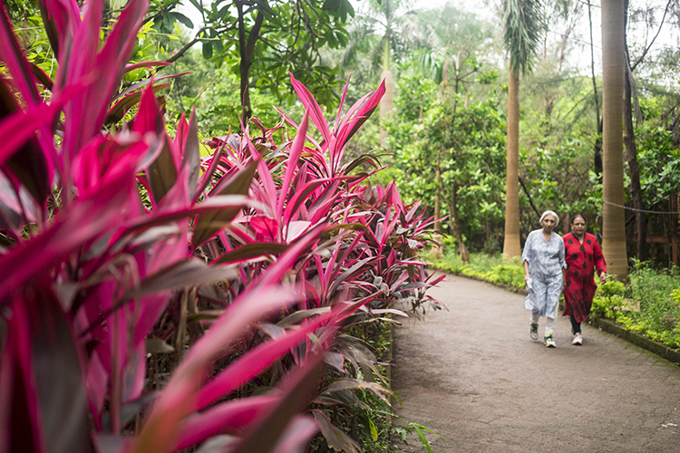 Is This The Most Beautiful Botanical Garden In Mumbai? LBB, Mumbai