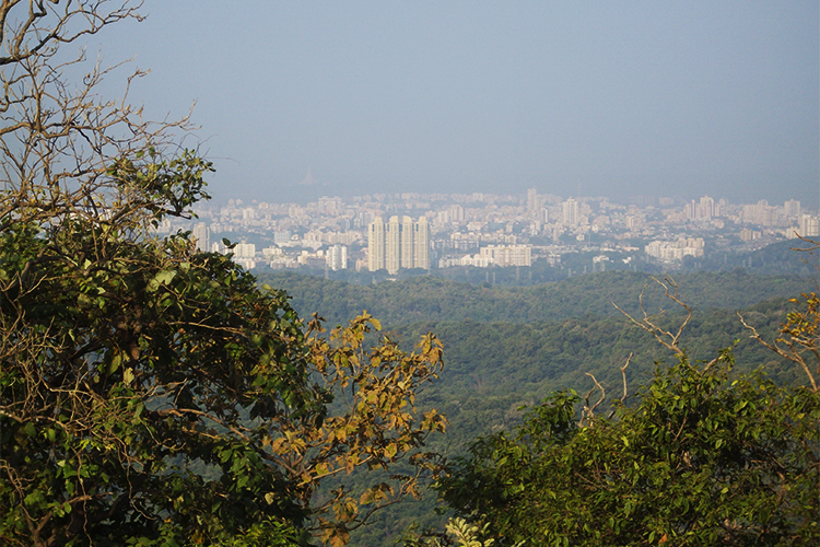 03012017_sngptrekking02