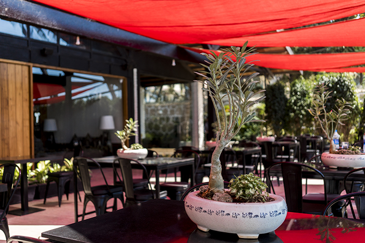 Razzberry Rhinoceros In Juhu LBB, Mumbai