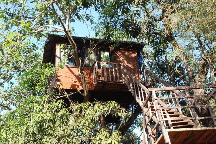 Best Tree House Resorts Near Mumbai I LBB, Mumbai